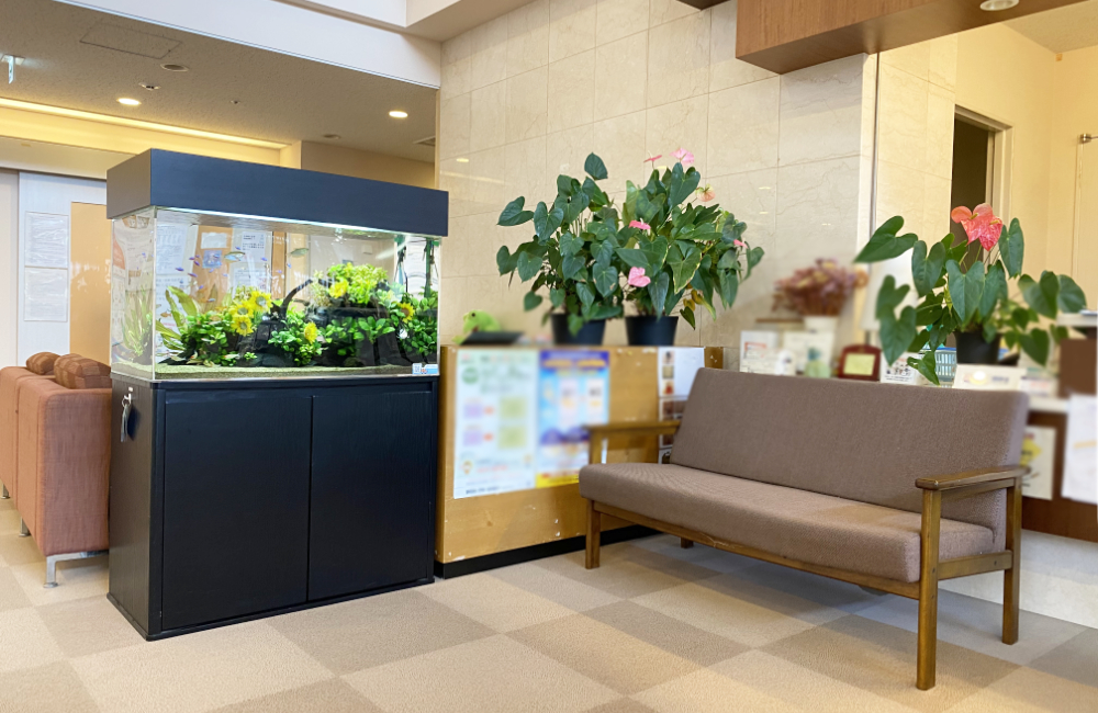 静岡県　福祉施設様の90cm淡水魚水槽・その後の様子｜季節を感じるレイアウト