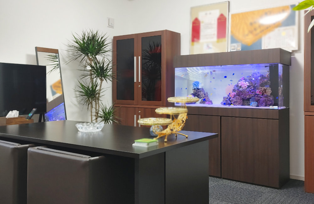 岐阜県揖斐郡　オフィスに設置！2台の海水魚水槽レンタル事例｜その2