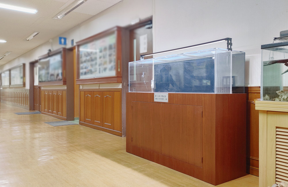 名古屋市　学校に150cm特注水槽を一式販売・設置！卒業記念品として寄贈されました