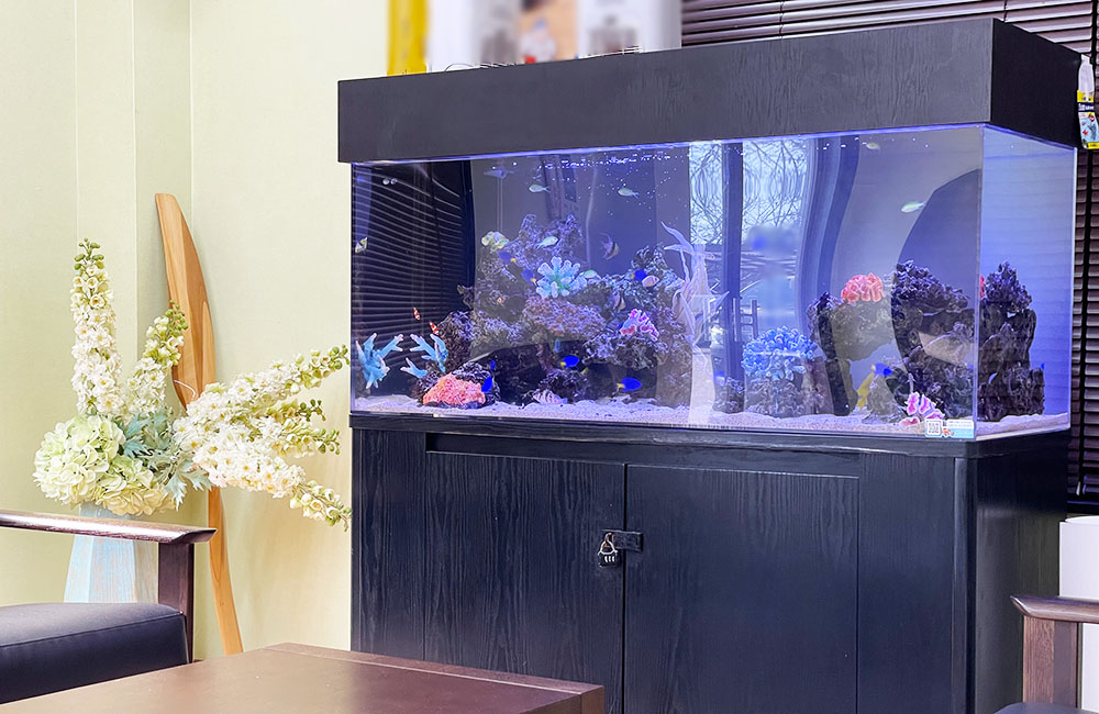 愛知県知多市　オフィスの応接スペースに設置！120cm海水魚水槽レンタル事例
