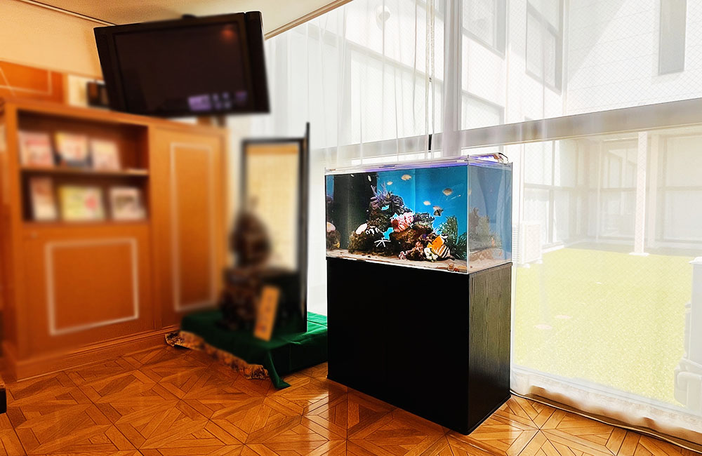 日進市　産婦人科クリニック様の90cm海水魚水槽をメンテナンス！その後の様子