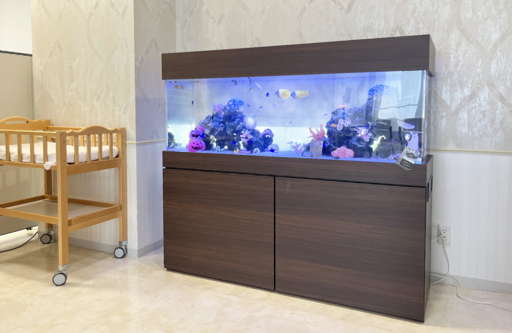 名古屋市　クリニック様のハロウィン水槽！150cm海水魚水槽レンタル事例