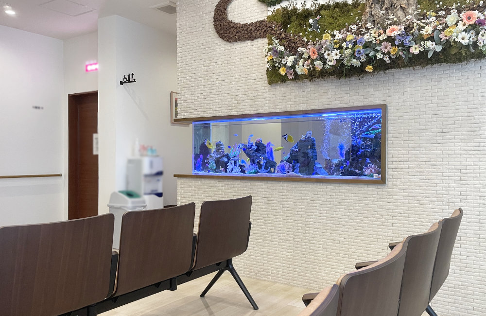 愛知県丹波郡 整形外科クリニックの2.2m埋め込み水槽!12年目の様子