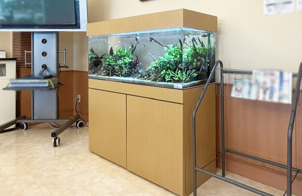 豊川市　病院様に設置した120cm淡水魚水槽！水草豊かなアクアリウム｜水槽リース・メンテナンス事例