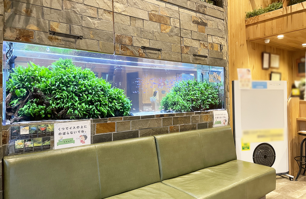 名古屋市　薬局様の2.6m埋め込み水槽！定期メンテナンスで保つ美しい水景