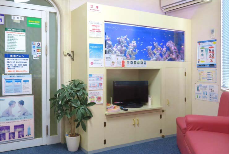 愛知県江南市 歯科医院に180cm淡水魚水槽