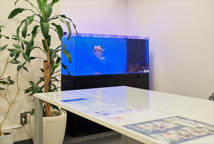 愛知県名古屋市　オフィスに120cm海水魚水槽