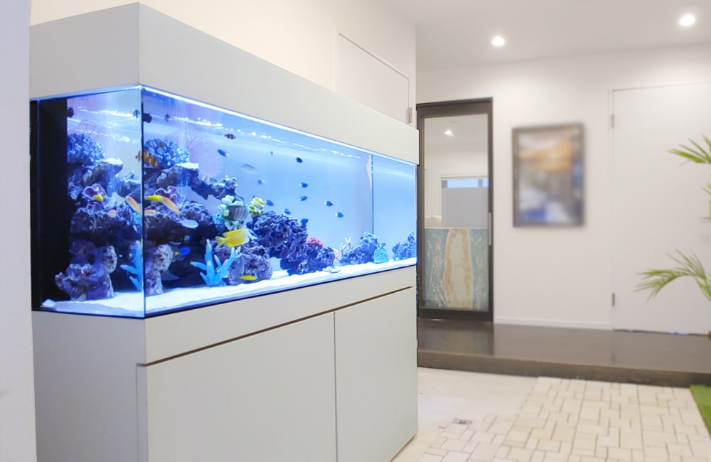 名古屋市 オフィスのエントランスをおしゃれにする120cm海水魚水槽