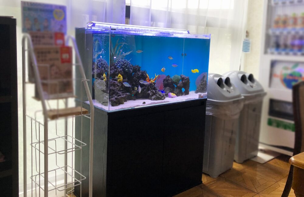 日進市　産婦人科クリニック様 90cm海水魚水槽！定期メンテナンス事例