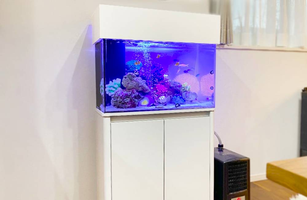 岐阜県土岐市　個人宅様に設置！60cm海水魚水槽レンタル事例