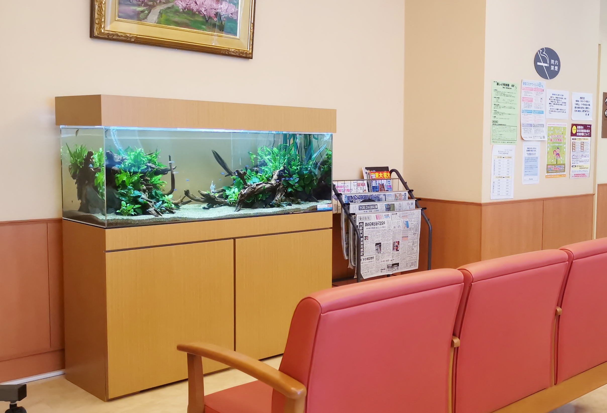 豊田市　病院の待合室　120cm淡水魚水槽